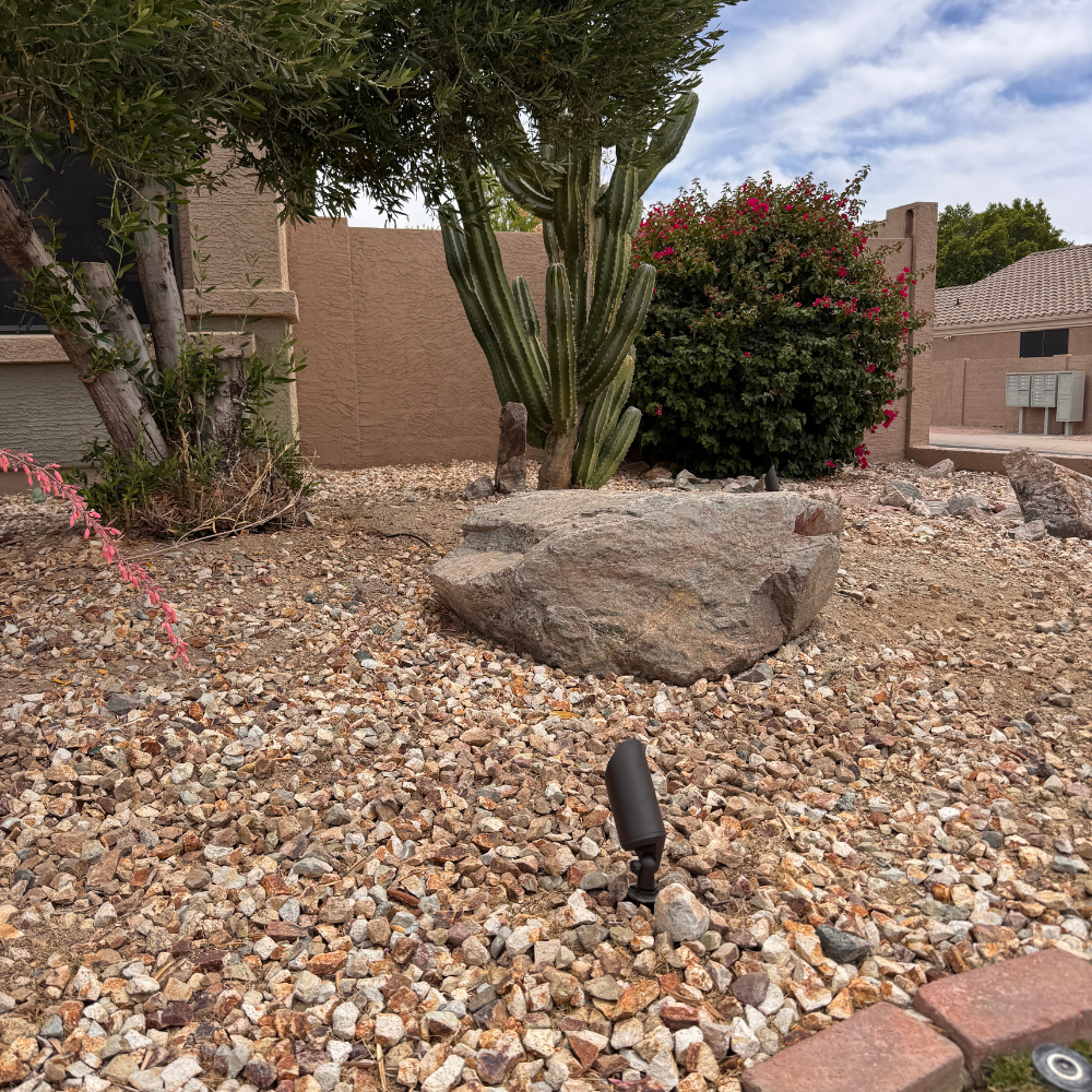 accent_lighting_installation_in_ahwatukee_foothills