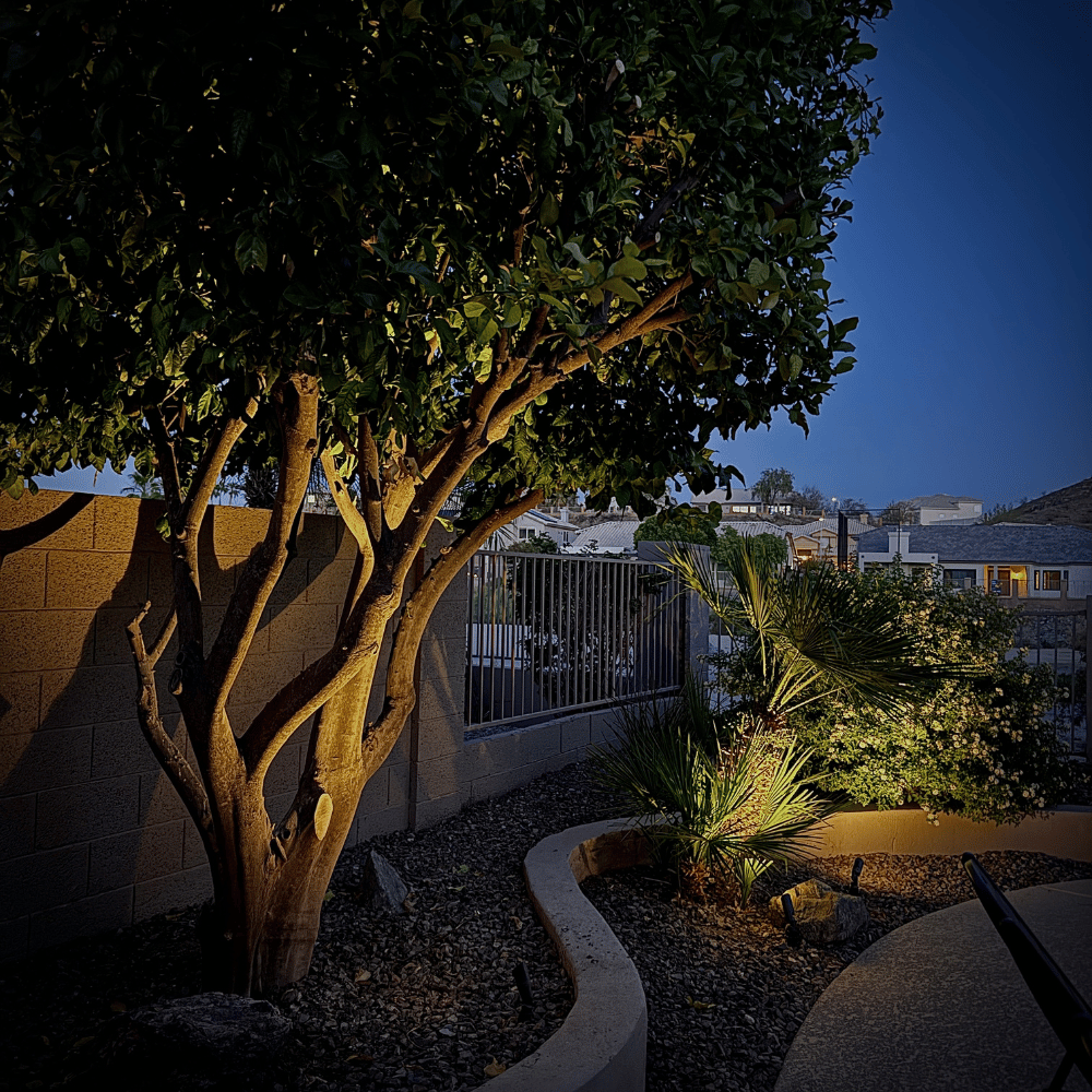 landscape_lighting_renovation_1