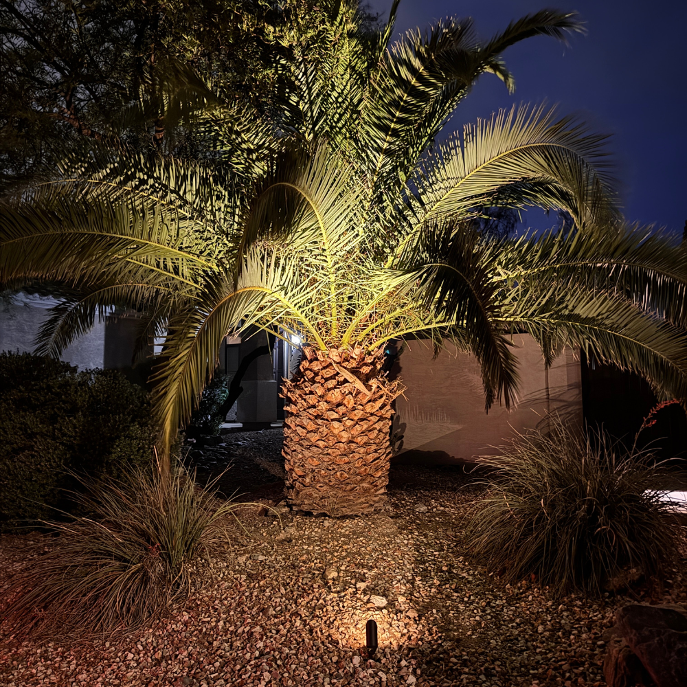 palm_tree_light_fixture_in_ahwatukee