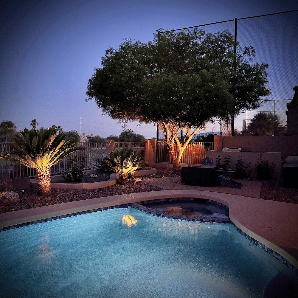 pool_area_lighting_trees_south_phoenix
